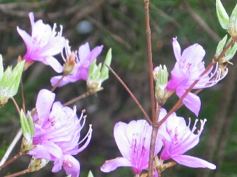 一滴徒然草画像 一滴徒然草画像